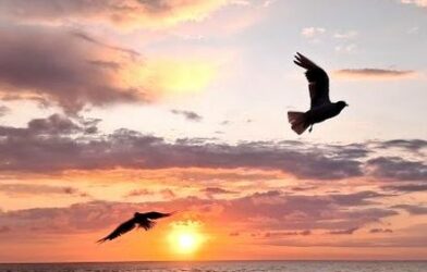 Calendrier de l’Avent 2025