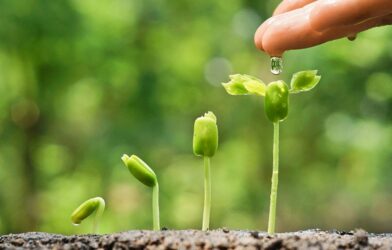 Souviens-Toi Janvier-Février 2026 (non paru)